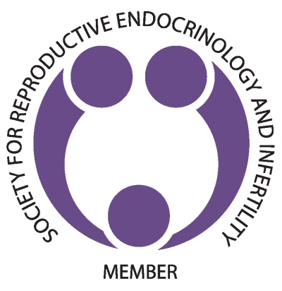 SREI Member Logo