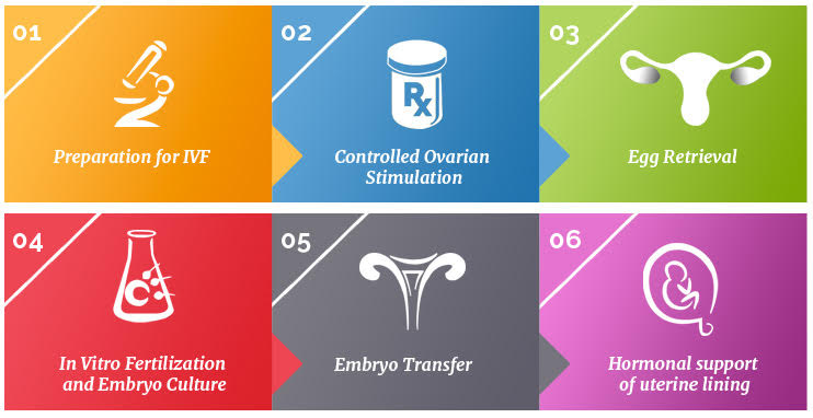 6 steps of IVF