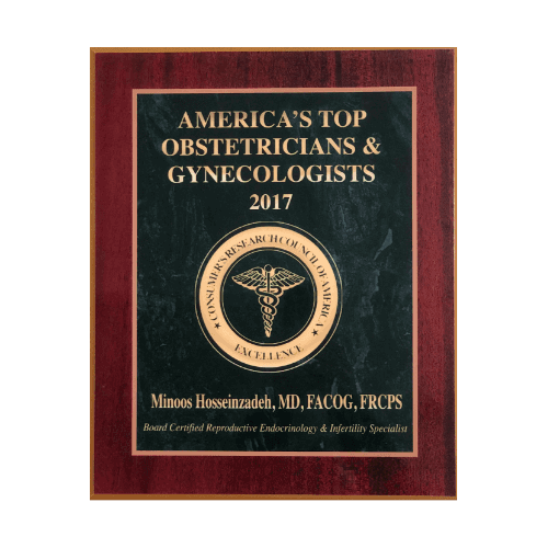 Woman on fertility journey at Thanksgiving