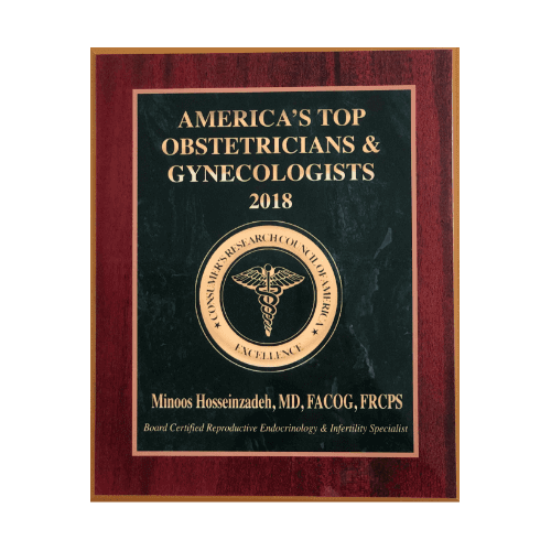 Woman on fertility journey at Thanksgiving