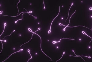 Boosting Male Fertility: Tips for Sperm Health and Wellness