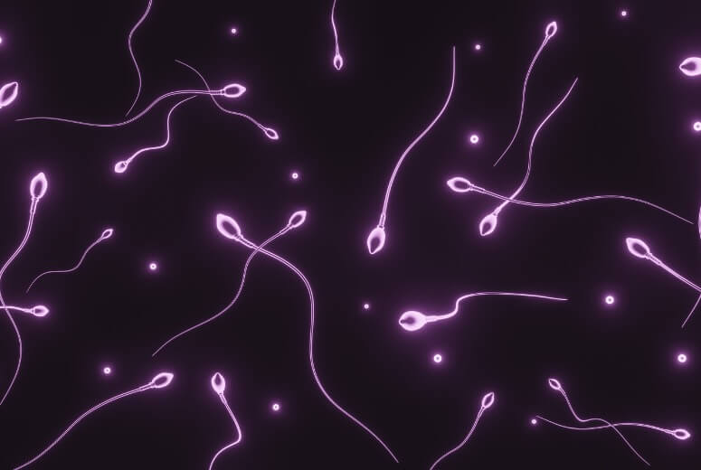 Boosting Male Fertility: Tips for Sperm Health and Wellness