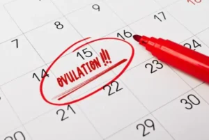 how to track ovulation essential techniques for success