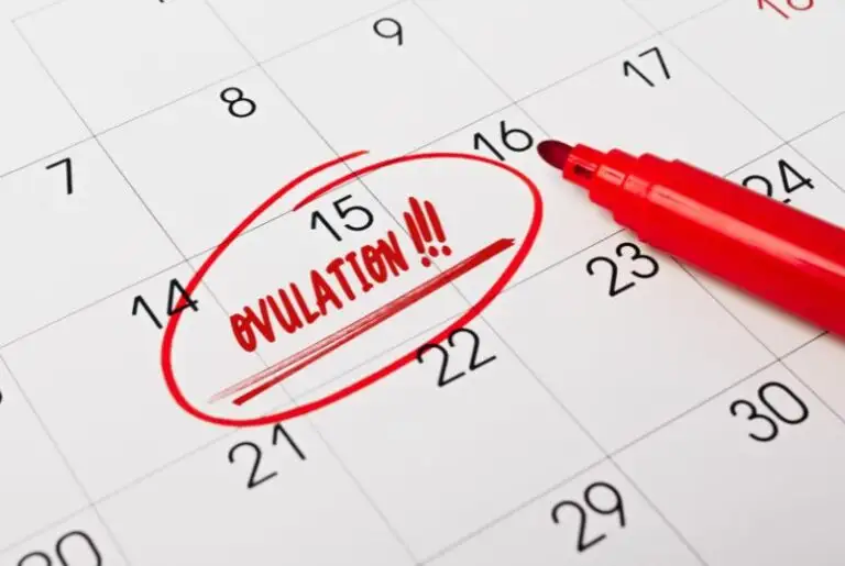 how to track ovulation essential techniques for success