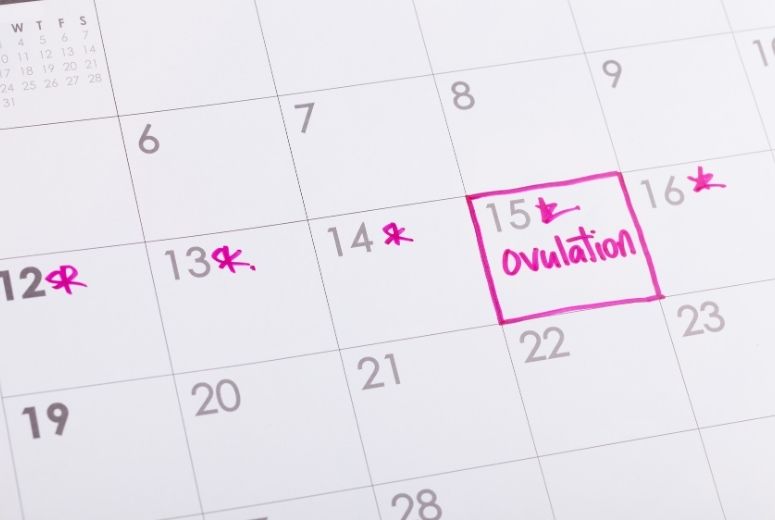 when to consider ovulation induction in your fertility journey