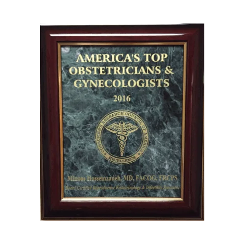 compressed_image (10)