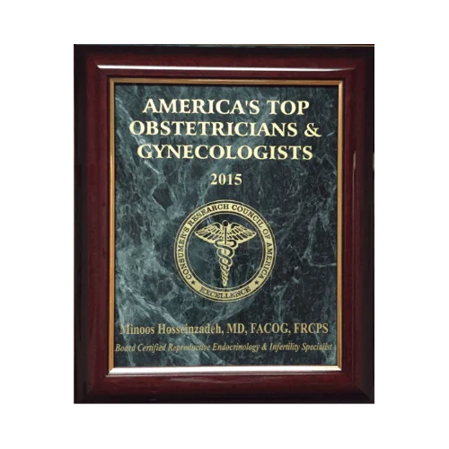 compressed_image (11)