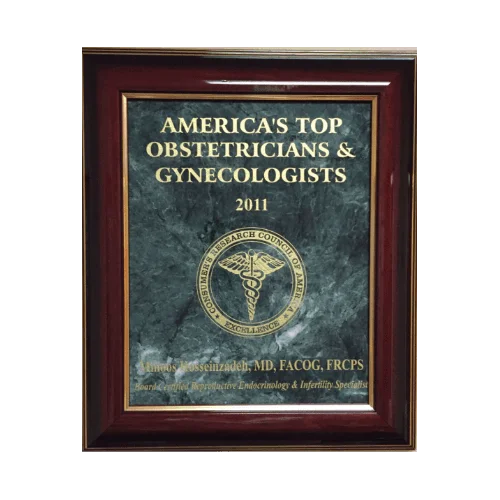 compressed_image (12)