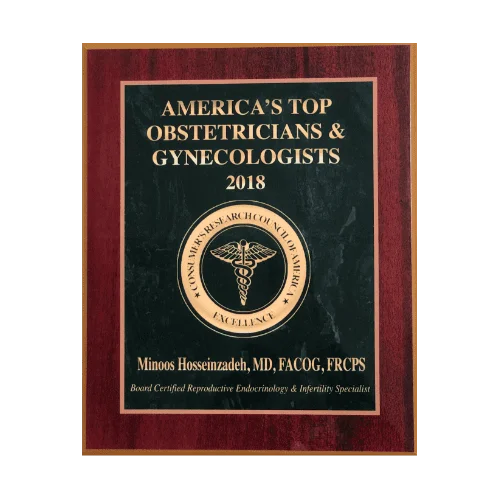 compressed_image (17)