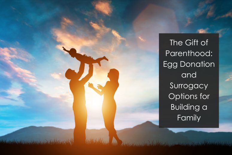 The Gift of Parenthood: Egg Donation and Surrogacy Options for Building a Family