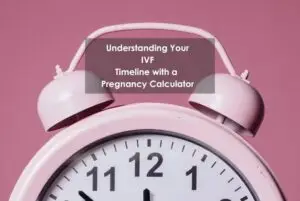 IVF timeline insights