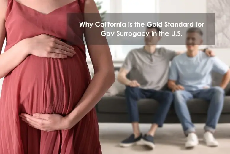 Gay surrogacy in California