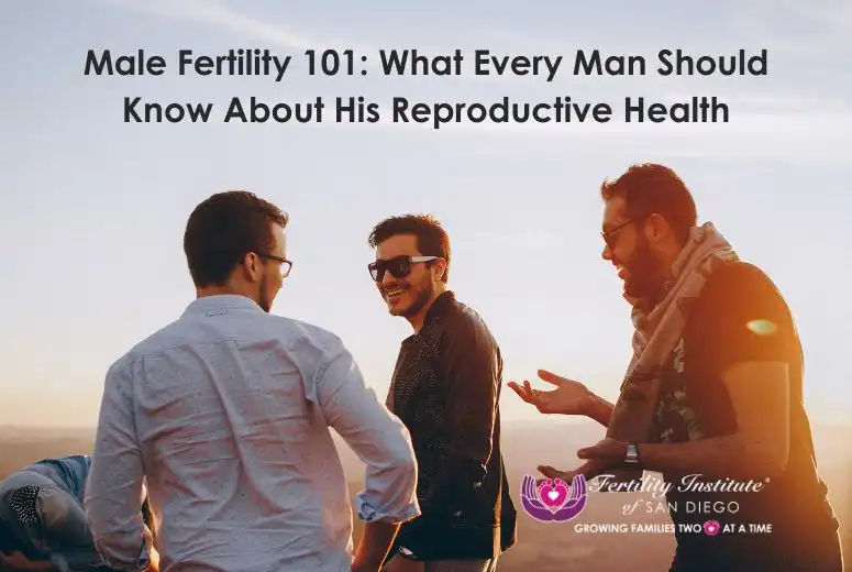Male Fertility 101: What Every Man Should Know About His Reproductive Health
