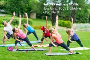 National Wellness Month: How Mind, Body & Lifestyle Affect Fertility
